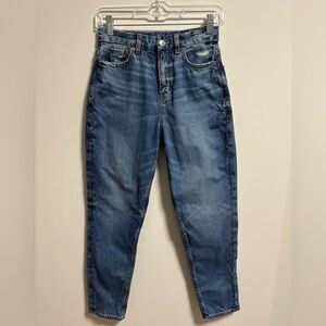 American Eagle Curvy Mom Jean